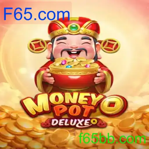 MoneyPotDELUXE